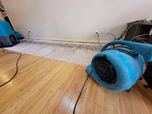 Professional Flood Damage Cleanup technician working in Assonet, MA